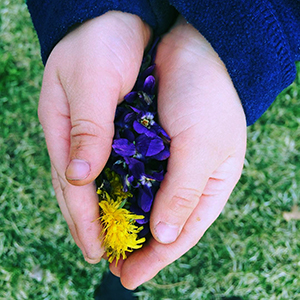 child with flower in hands